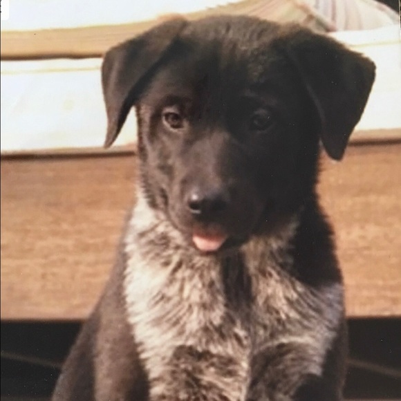 Meet your Posher, Lori - Picture 8 of 13